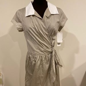 Stylish Business/Fancier Dress with Collar